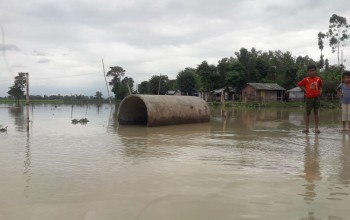 महाकाली नदीले कञ्चनपुरका १५ घर डुबानमा 